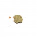 ŒUF BROCHE COQUILLAGE