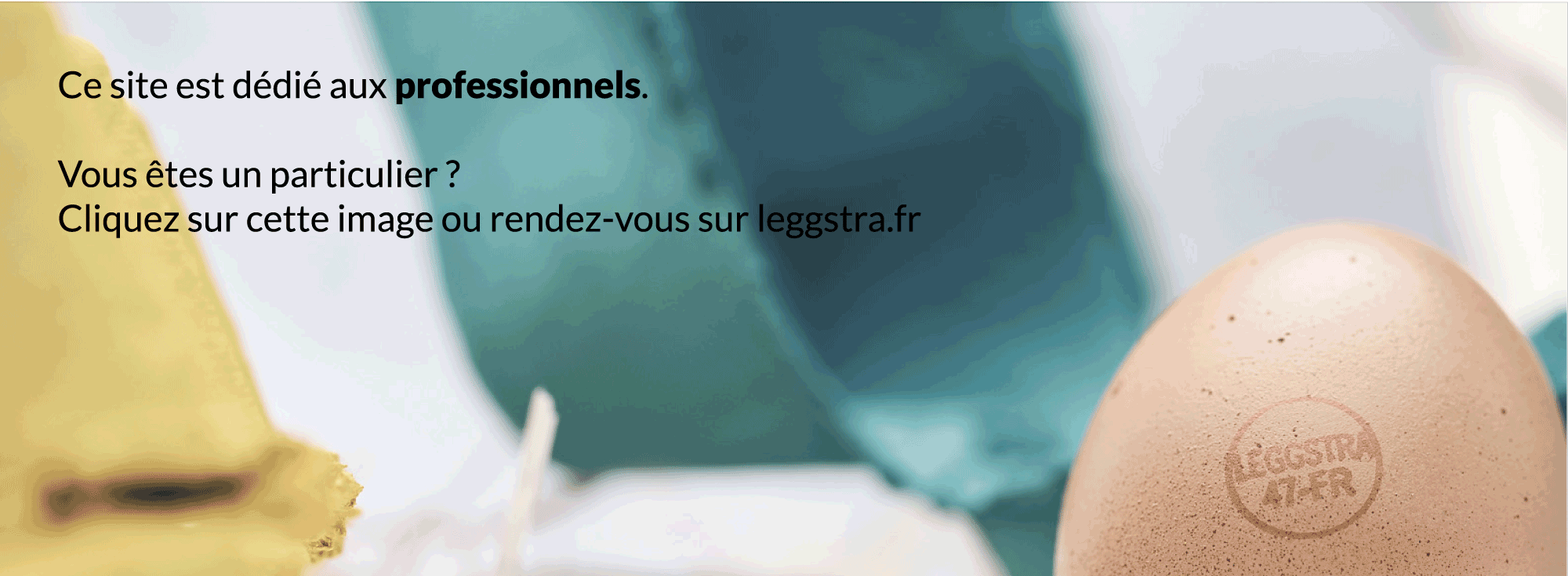 Site dédié aux professionnels Site dédié aux professionnels